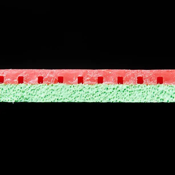 Andro Rasanter R45 Andro SE - tabletennisstore.eu